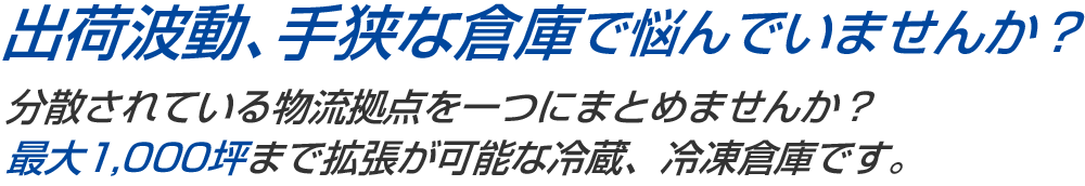 出荷波動、手狭な倉庫で悩んでいませんか？